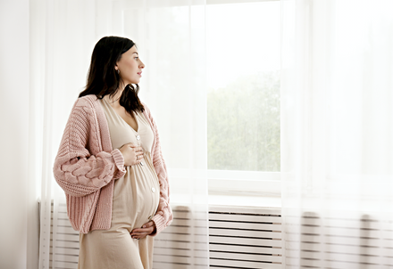 The Second Trimester During Pregnancy