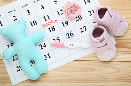 Ovulation: Everything You Need To Know